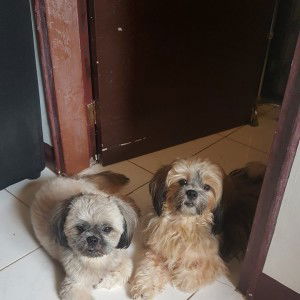 Jennylyn Amistad profile icon