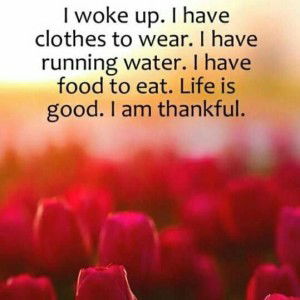 Mashita Myusof profile icon