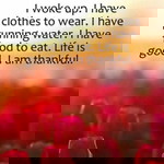 Mashita Myusof profile icon