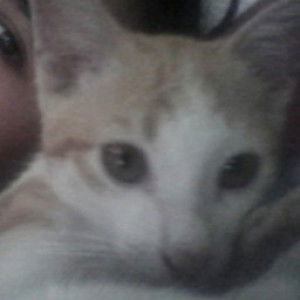 soeyanie tarie profile icon