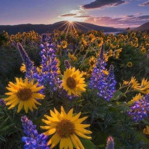 Ummu Nabil Muhammad profile icon