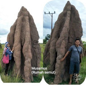 Khelda Ayunita Sofyan profile icon