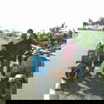 Lailatul Mufidah profile icon