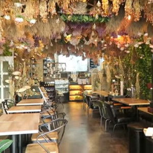 Mikaila profile icon