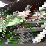 Basyirah Rusdi profile icon