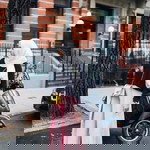 Firenze Nates profile icon