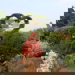 Imasuryani Yuhastri profile icon