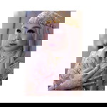 Della Anugrah profile icon