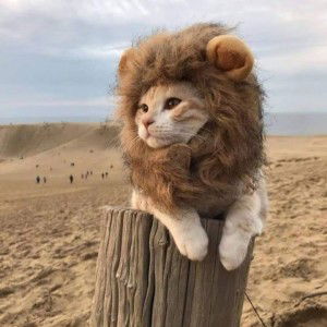 Hurriya Nur Aldilla profile icon