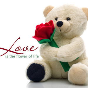 Azrenna Roslan profile icon