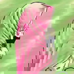 Aifaa Adila Azizan profile icon