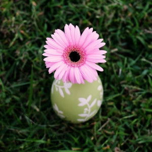 umi naqiyah profile icon