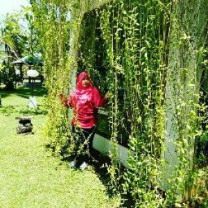 Novita Roliana profile icon