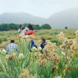 Riyaka Indiarni profile icon