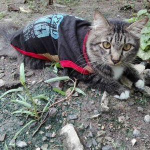 Hawa Kemkaman profile icon