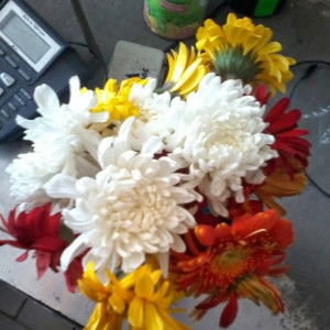 Puput Den profile icon