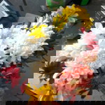 Puput Den profile icon