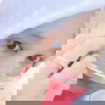 Nisa Tfitri profile icon