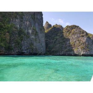 Cute Angel profile icon