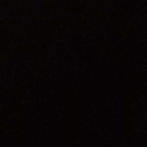 melisa carolina profile icon