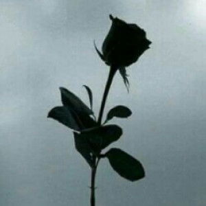 Ummu Maryam profile icon