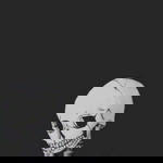 อักษร พลจ่า profile icon