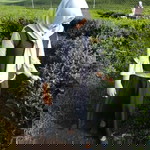 Rises Cahyani profile icon