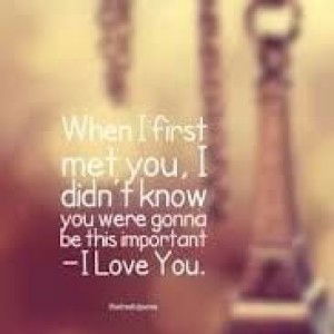 Nisha Sha profile icon