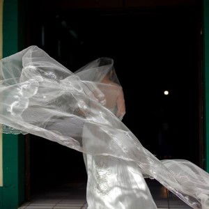 Shain Nyle profile icon