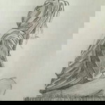 Heidee Euqudrag Onallisac profile icon