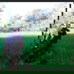 Leena Xlalu Merindu profile icon