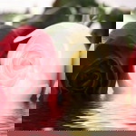 Ummu Yahya profile icon