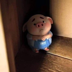 Vanvisa Kankong profile icon