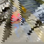 Ranes Revalino profile icon