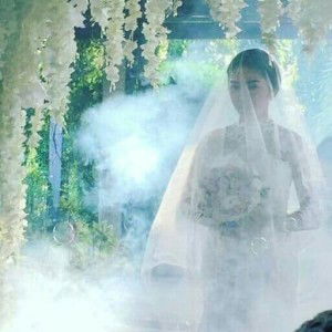 Christine DC Tobias profile icon