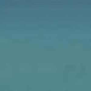 Dhia Diana profile icon