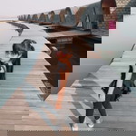 Chotikan profile icon