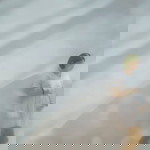 Phee Yin Yin profile icon