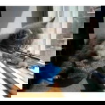 pattama wongtafu profile icon