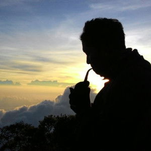 putty octavia profile icon