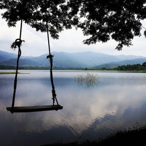 Diana John profile icon