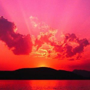 Tyco Jul profile icon