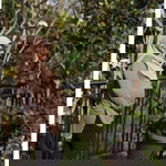 Reny chomalasari profile icon