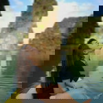 ice zzz profile icon