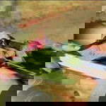 Michaeylla Agracia profile icon