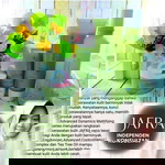 Amii Muk Aminah profile icon