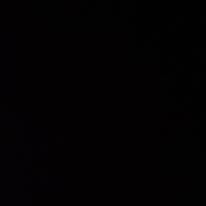 Eyfa Hazel Nut's profile icon