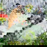 Imron Rosadi profile icon