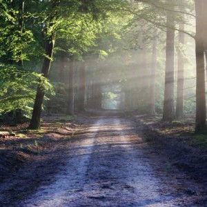 Ericha de leon profile icon