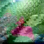 Viia Pirwanda profile icon